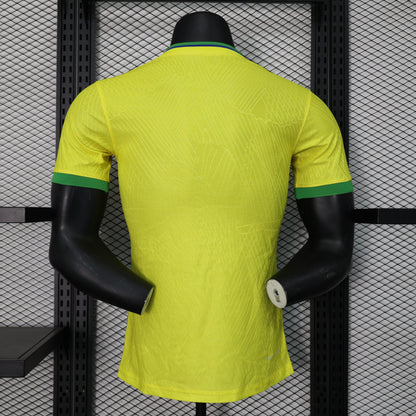 23/24 Brazil Rio de Janeiro Special Jersey