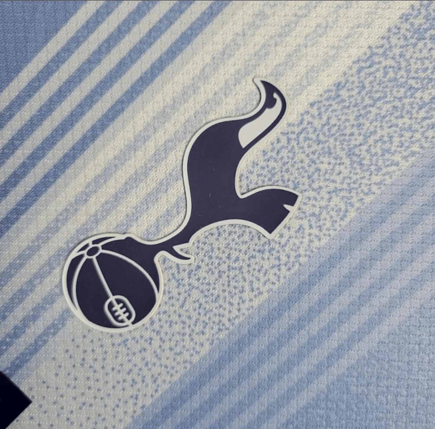 24/25 Tottenham Hotspur Away Jersey