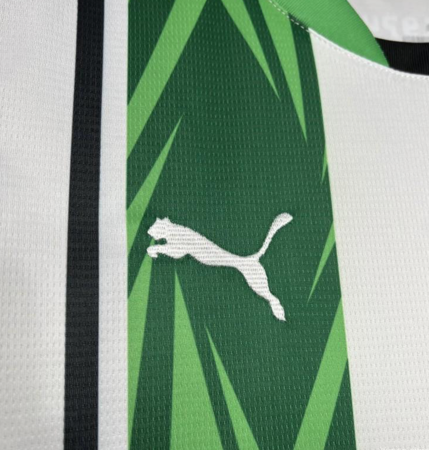 24/25 Borussia Monchengladbach Home Green Jersey