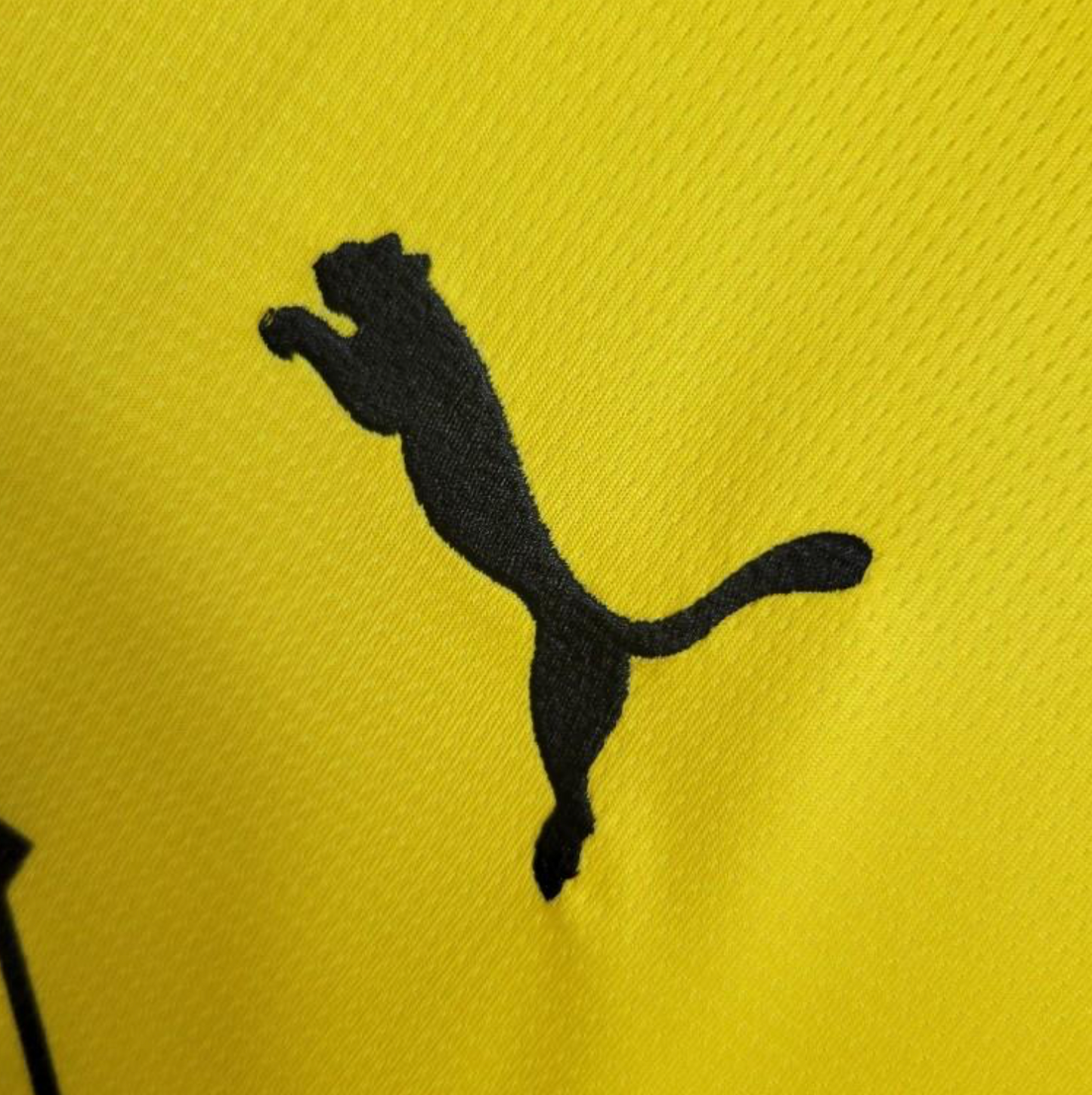 23/24 Borussia Dortmund Home Jersey