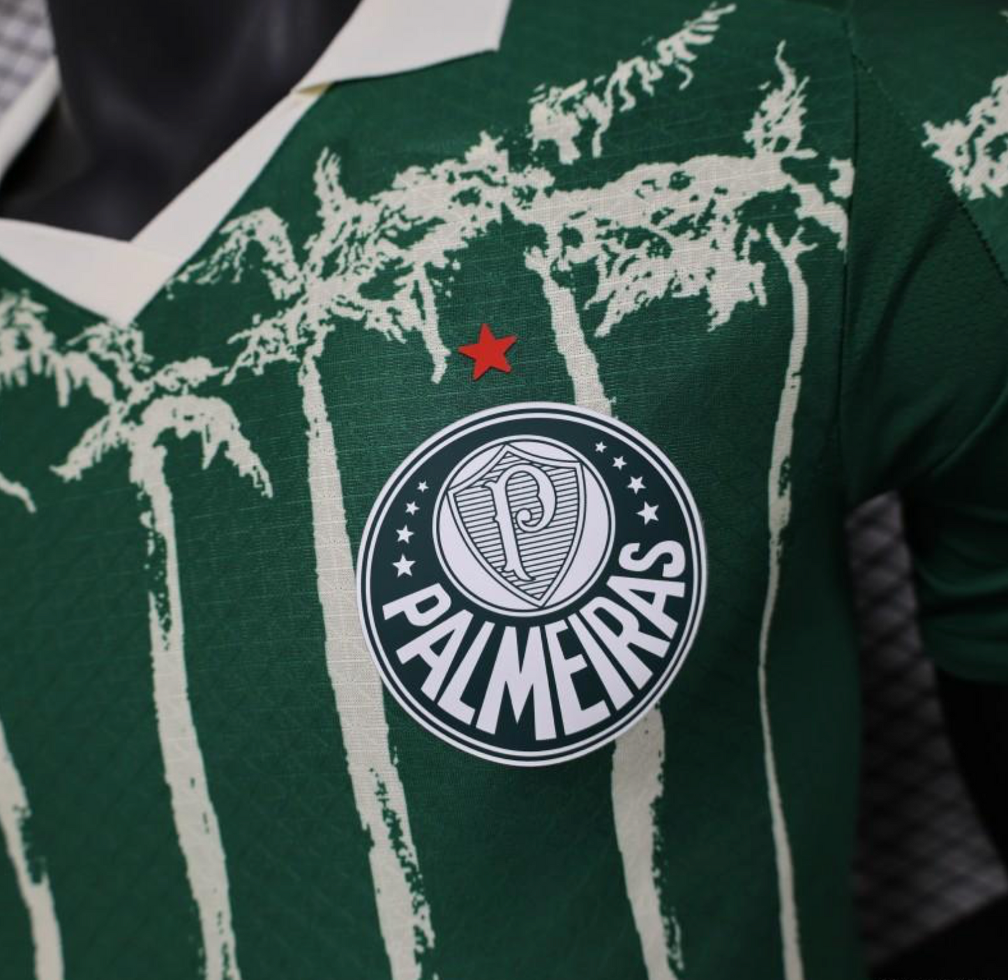 25/26 Palmeiras Home Jersey