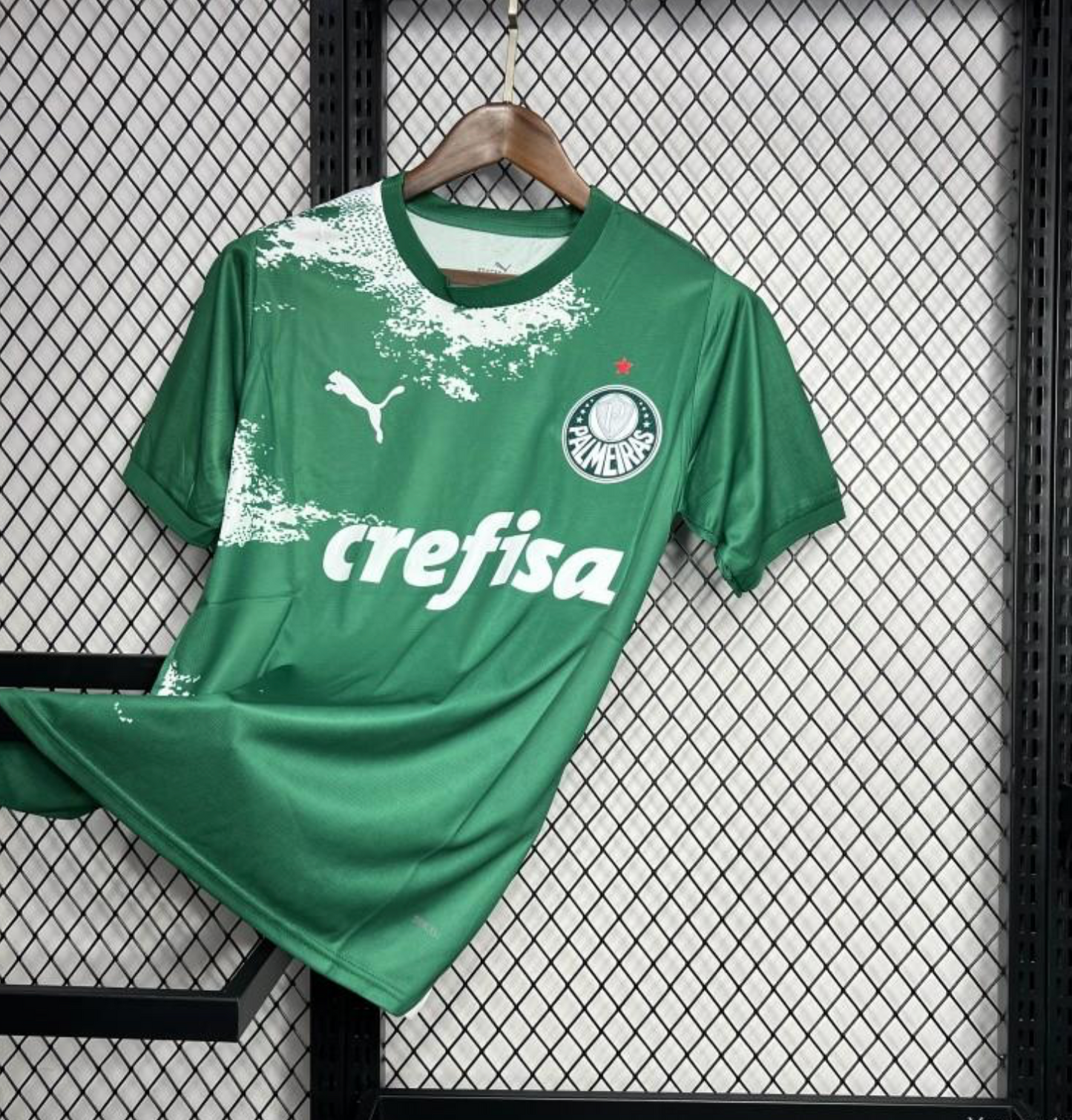 24/25 Palmeiras Special Edition Green And White Jersey