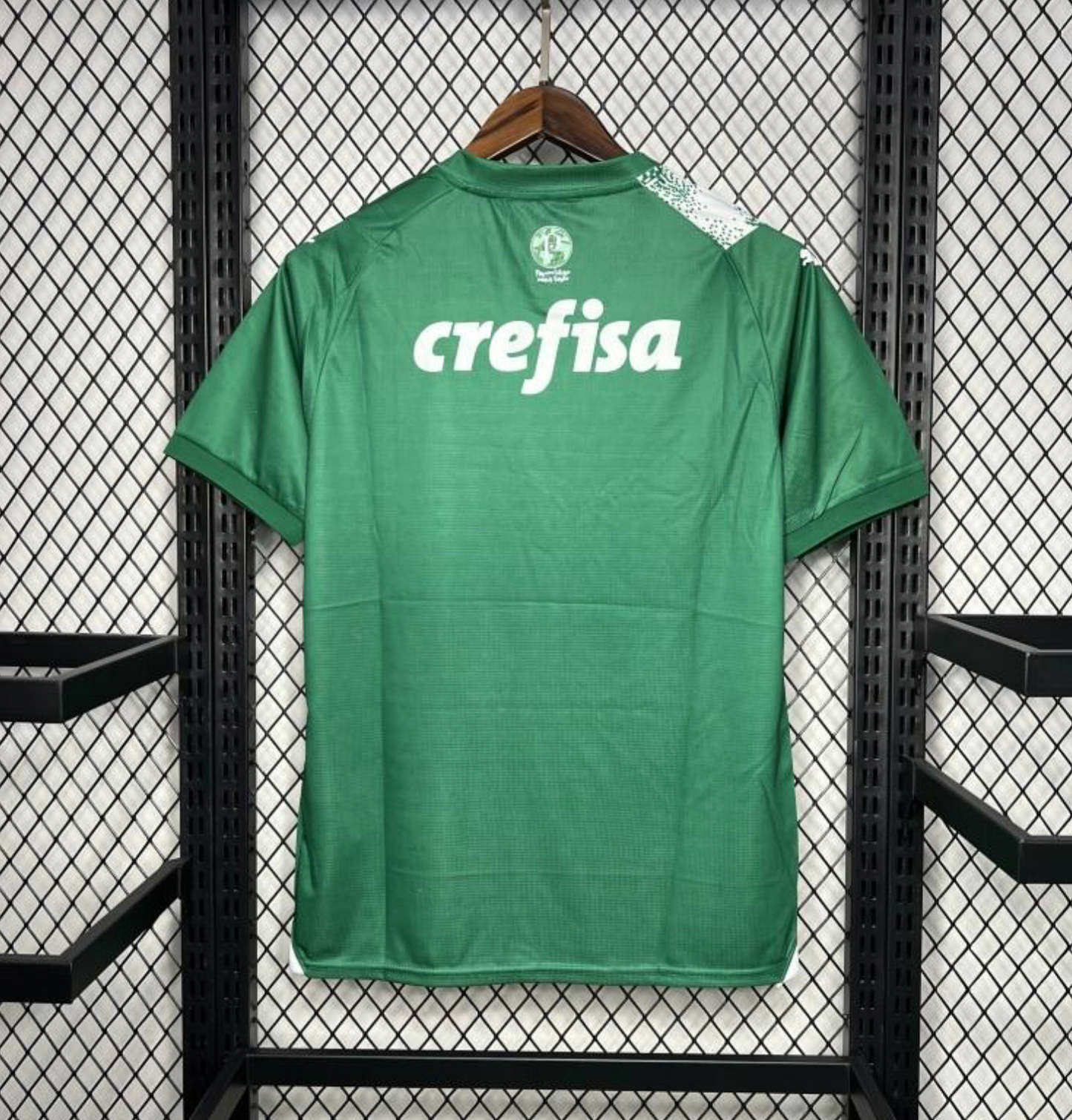 24/25 Palmeiras Special Edition Green And White Jersey