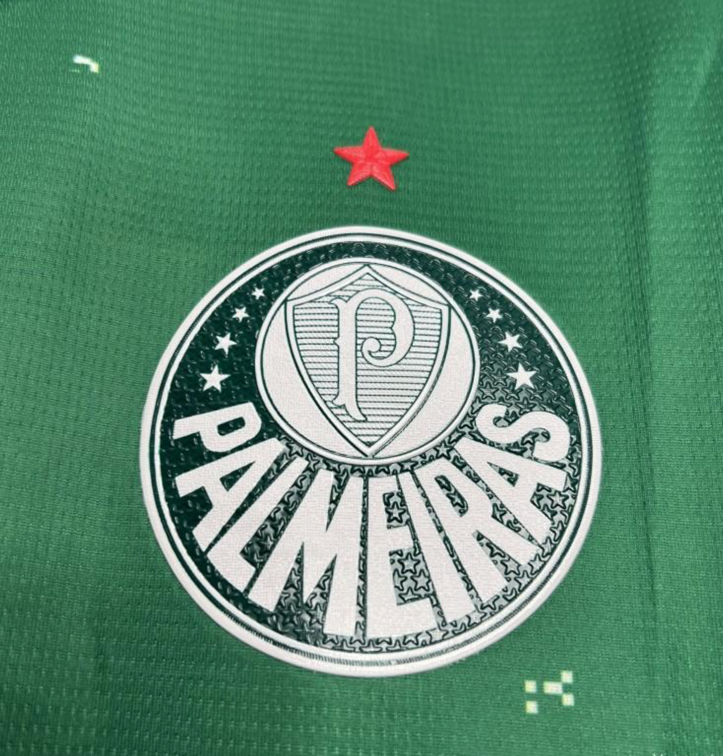 24/25 Palmeiras Special Edition White And Green Jersey