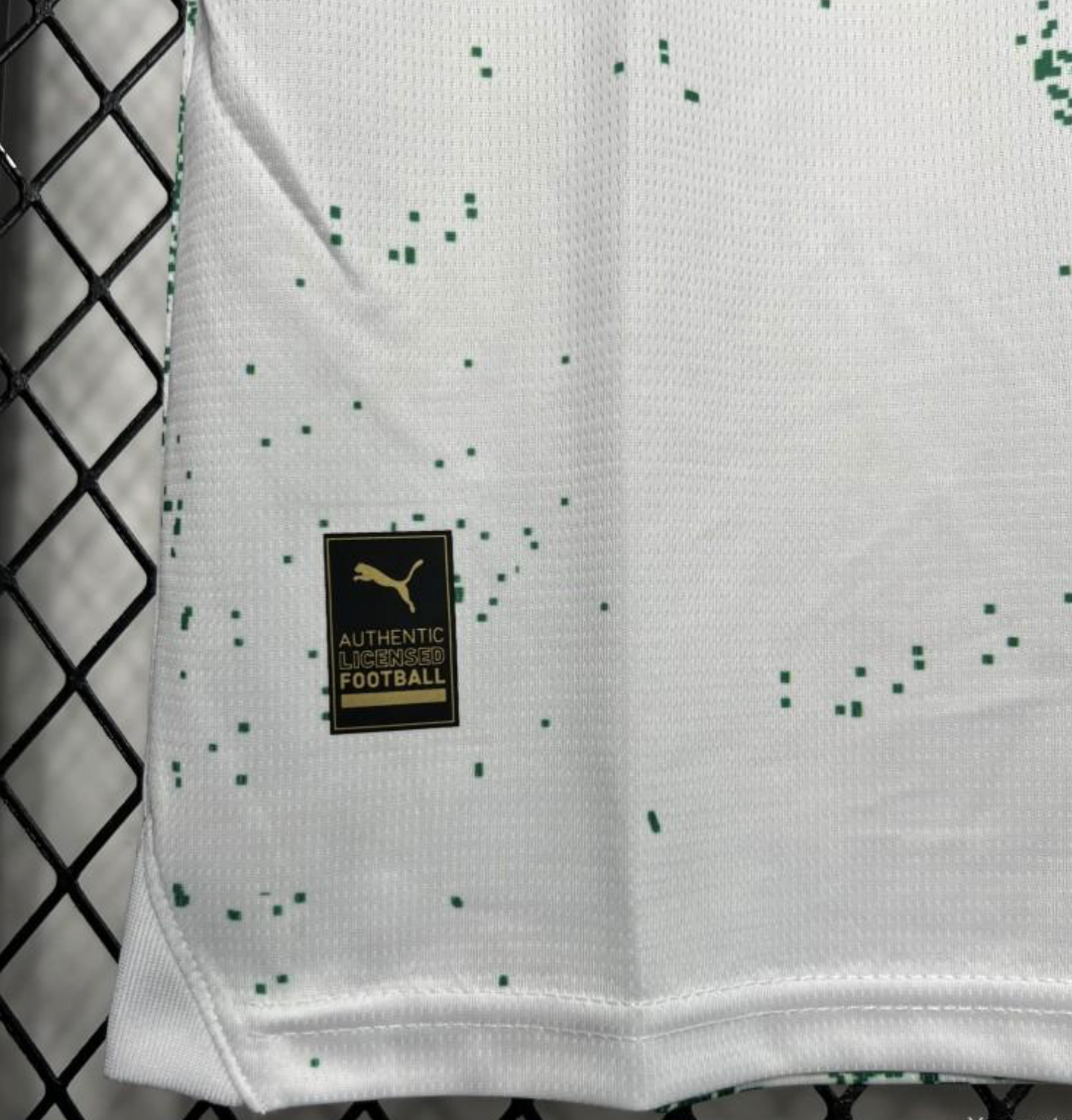 24/25 Palmeiras Special Edition White And Green Jersey