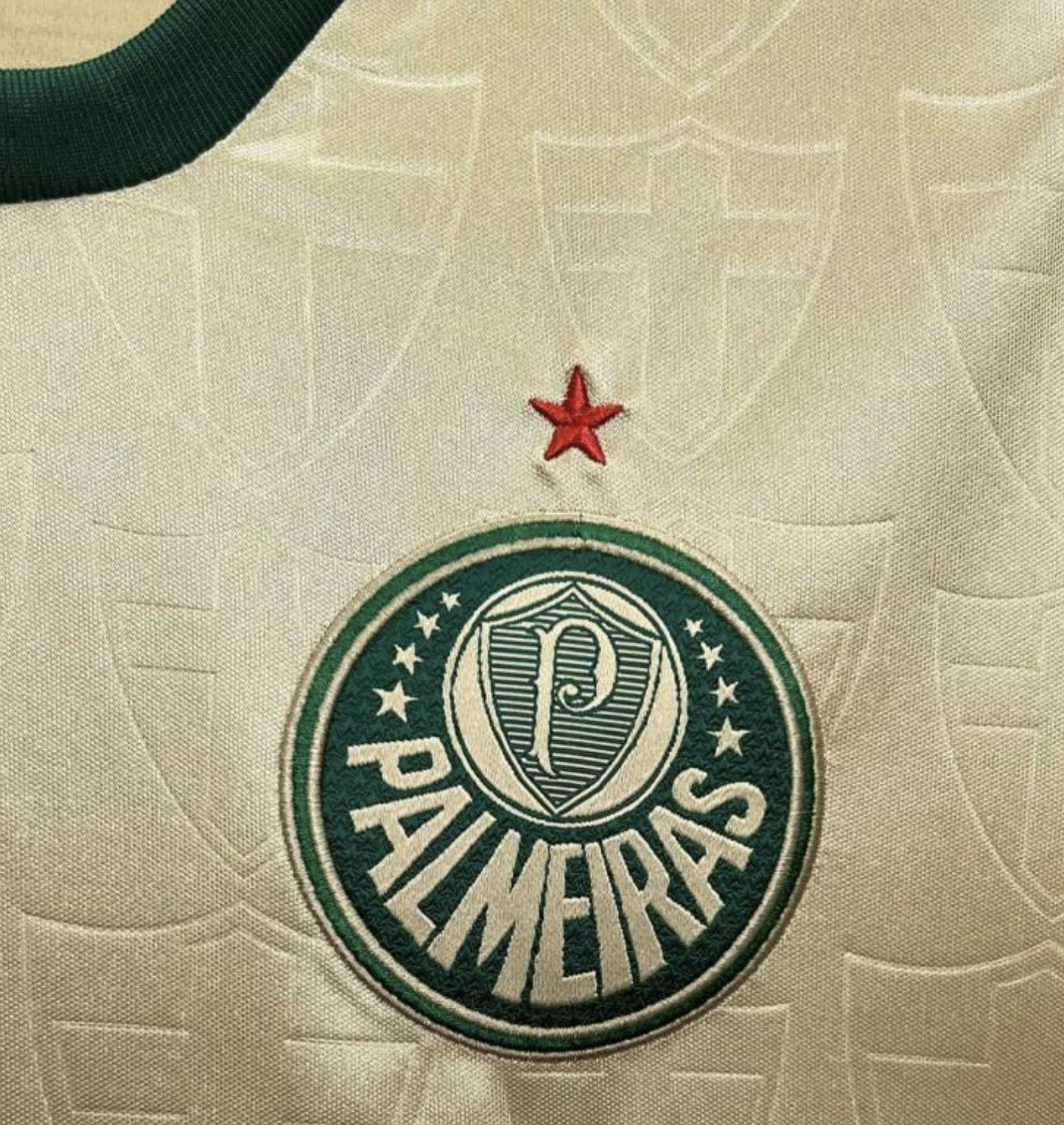 24/25 Palmeiras Thirds Womens Jersey