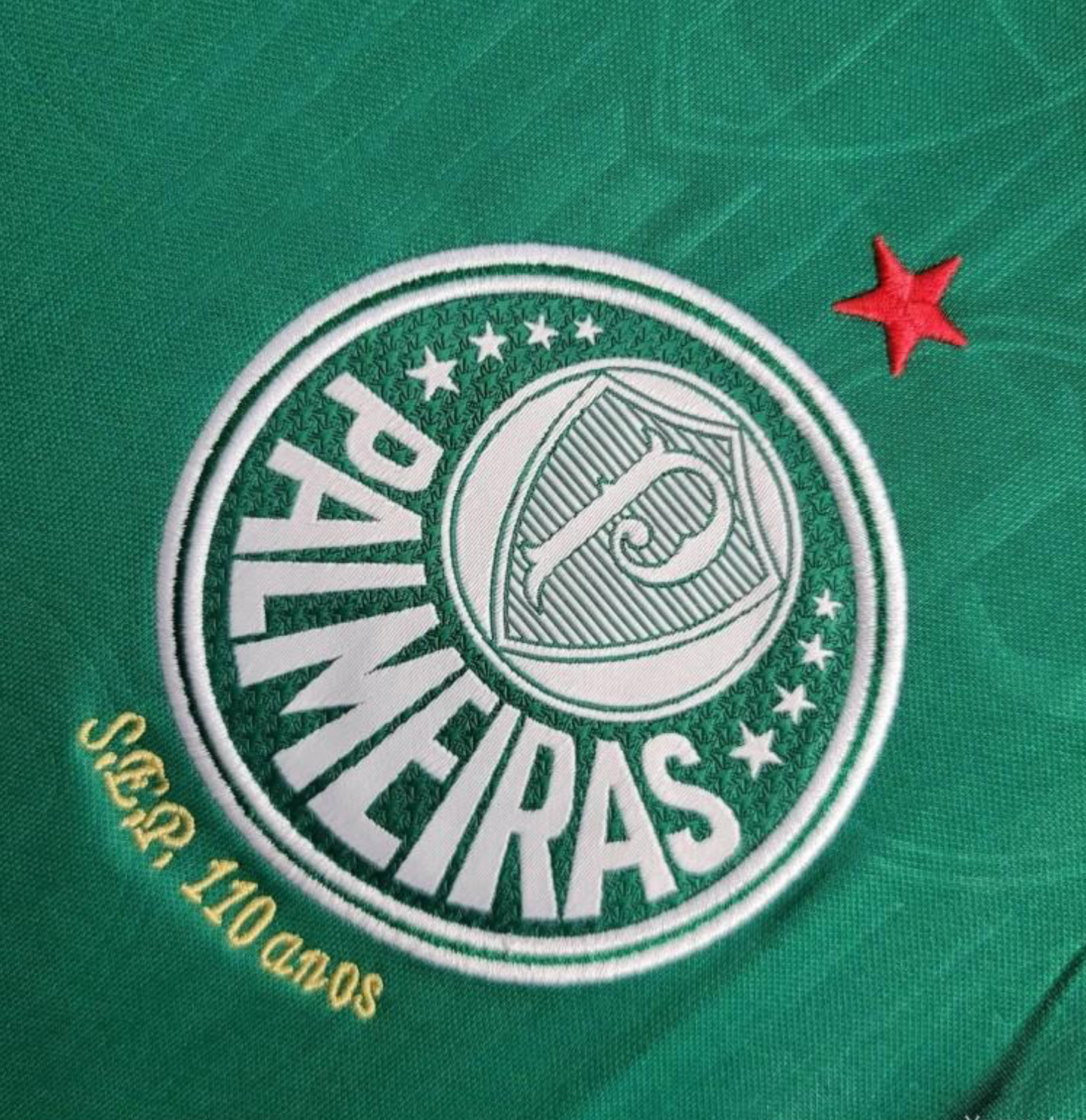 24/25 Palmeiras Home Vest Green Jersey