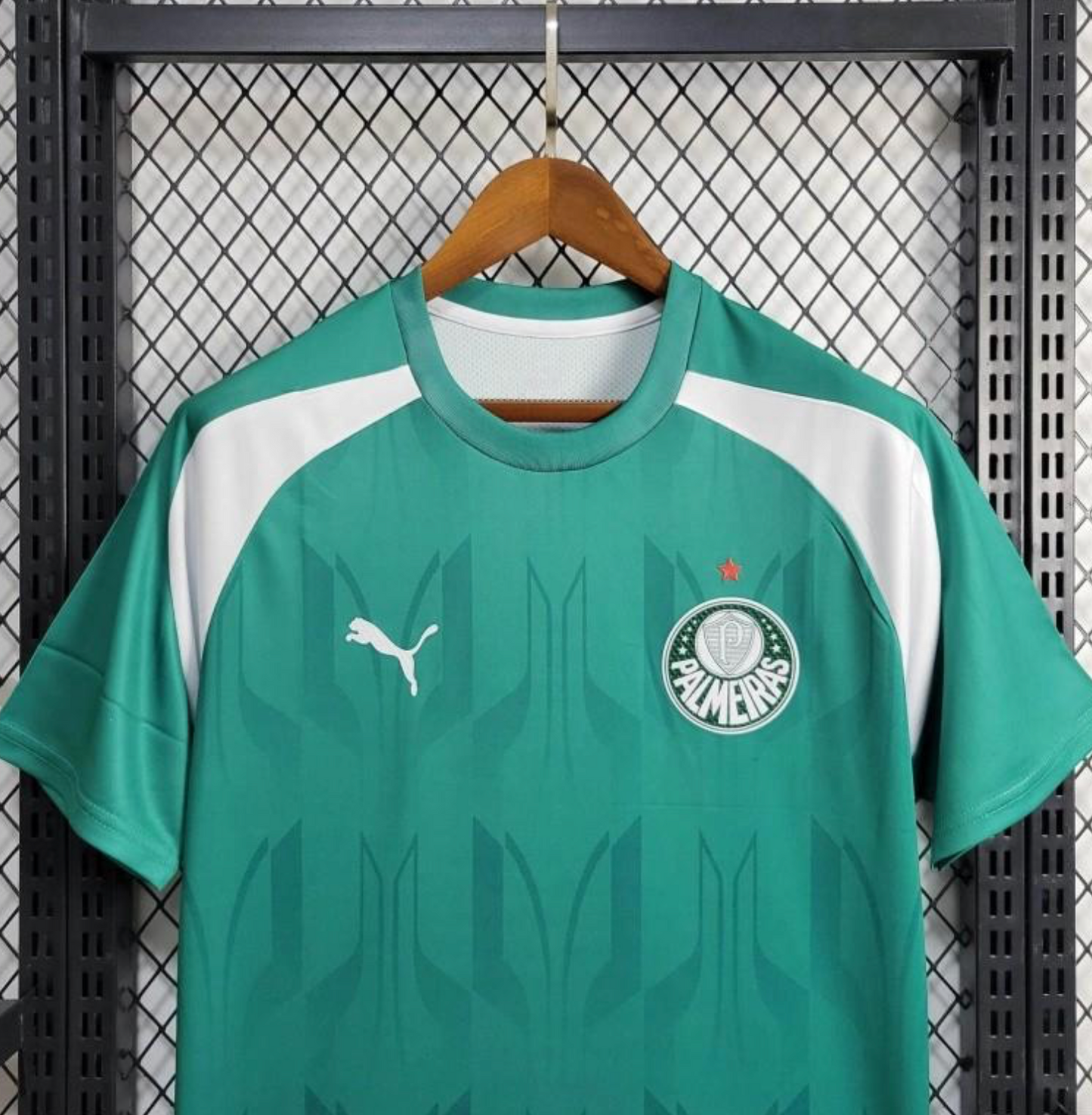 24/25 Palmeiras Training Green Jersey