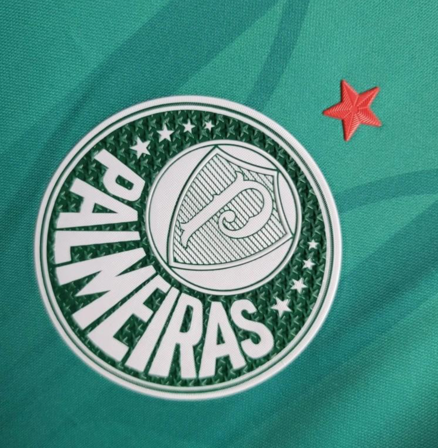 24/25 Palmeiras Training Green Jersey