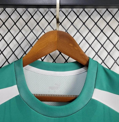 24/25 Palmeiras Training Green Jersey