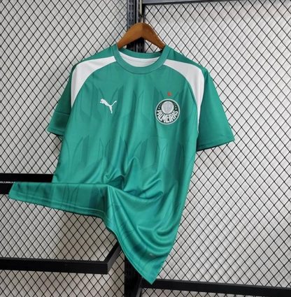 24/25 Palmeiras Training Green Jersey