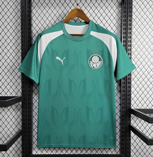 24/25 Palmeiras Training Green Jersey