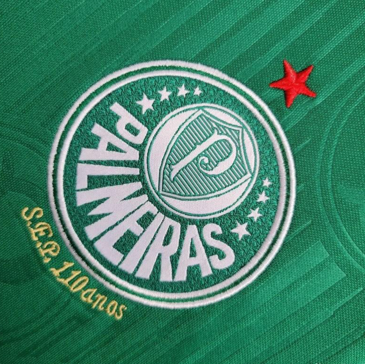 24/25 Women Palmeiras Home Jersey