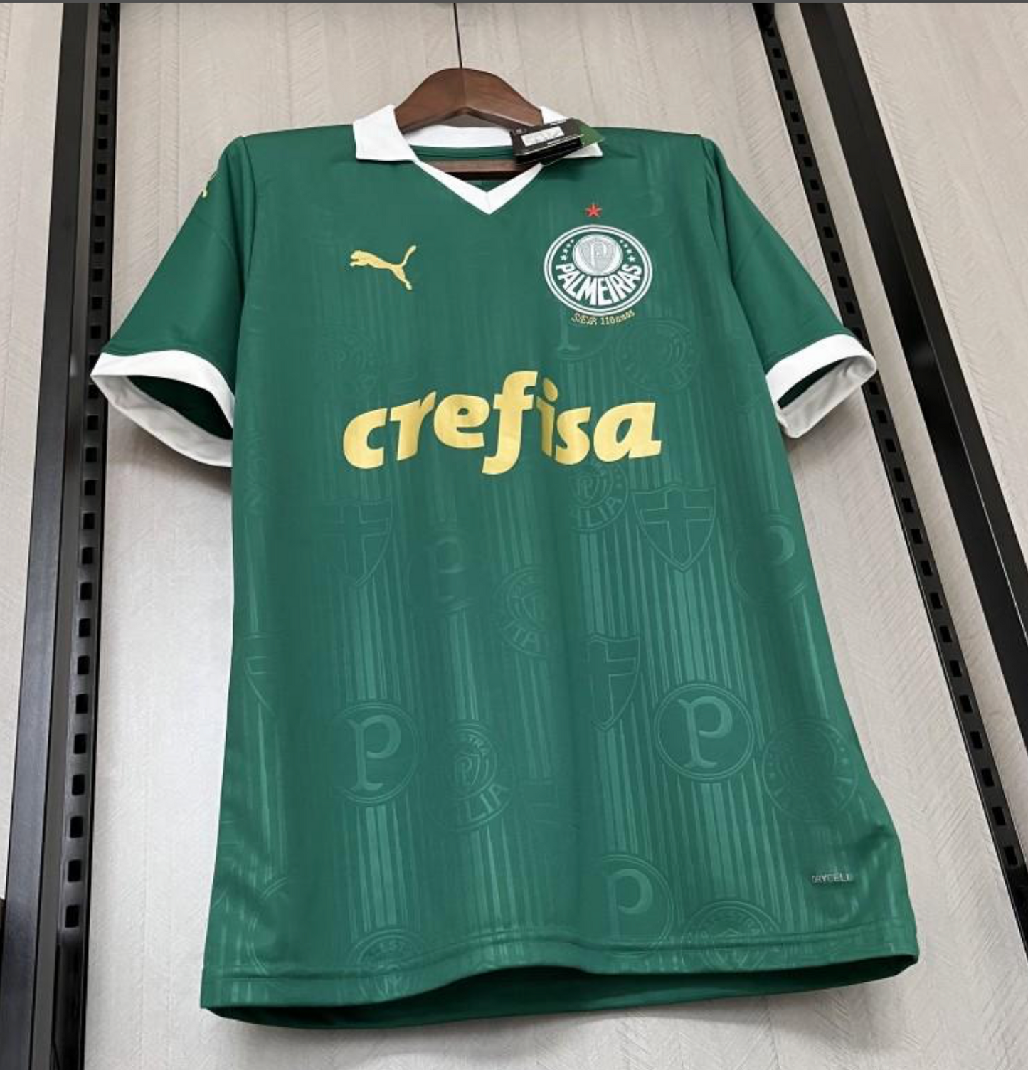 24/25 Palmeiras Home Jersey