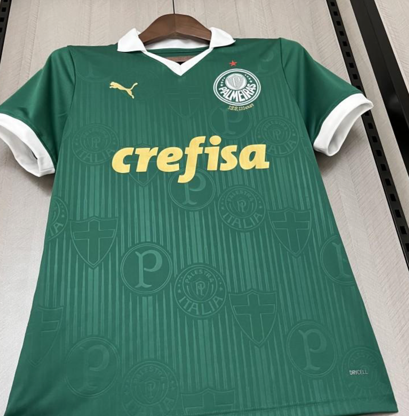 24/25 Women Palmeiras Home Jersey