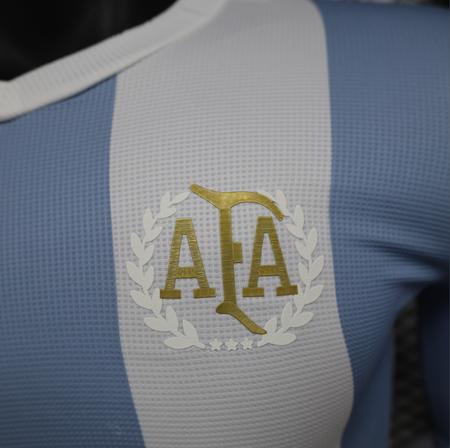 24/25 Argentina Home Long Sleeve