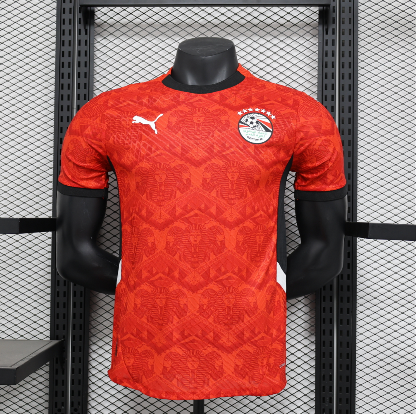 24/25 Egypt Home Jersey