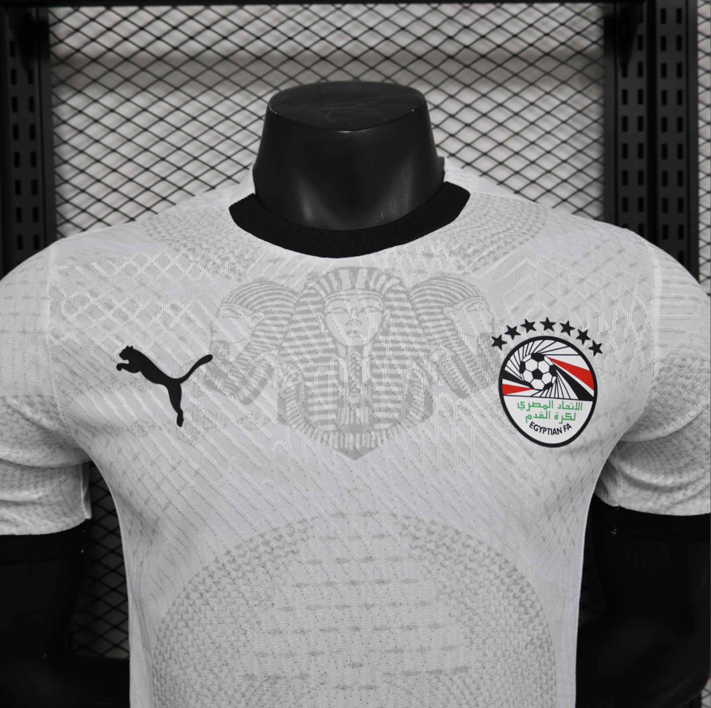 24/25 Egypt Away Jersey