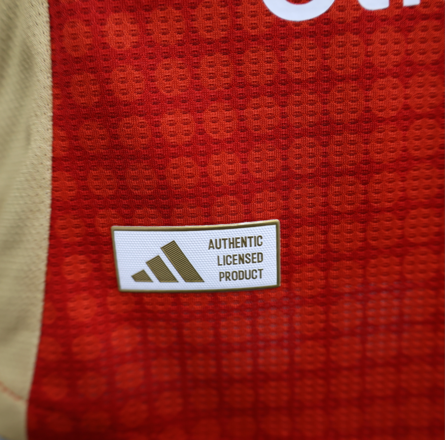 24/25 El Ahly Home Jersey