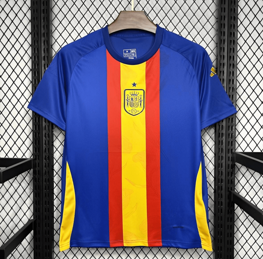 2024 Spain Euro Blue/Red/Yellow Pre-match Training Jersey