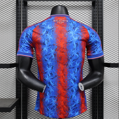 24/25 Crystal Palace Away Jersey