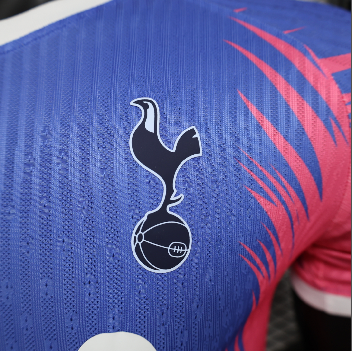 24/25 Tottenham Hotspurs Special Jersey