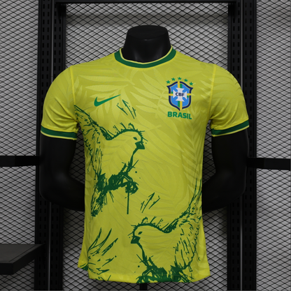 24/25 Brazil Special Jersey